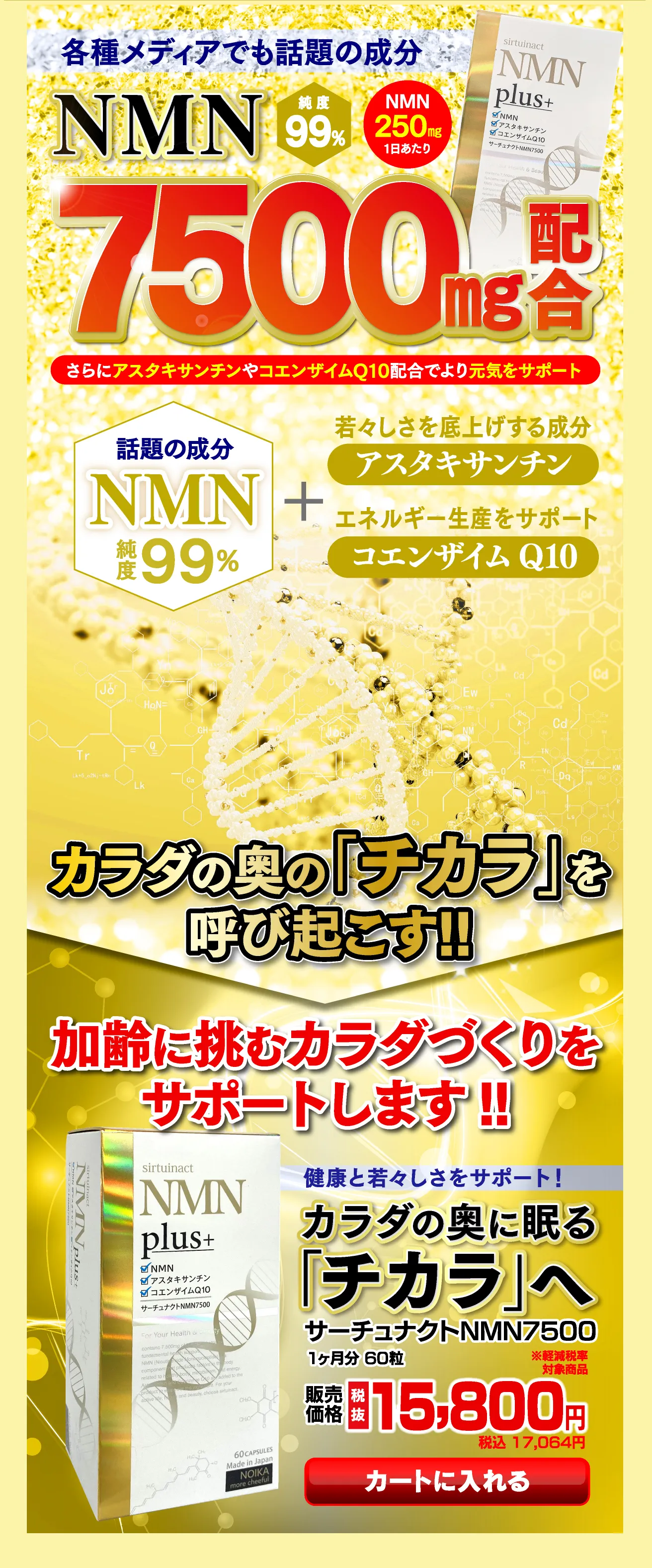 加齢に挑むカラダづくりをサポートします!!